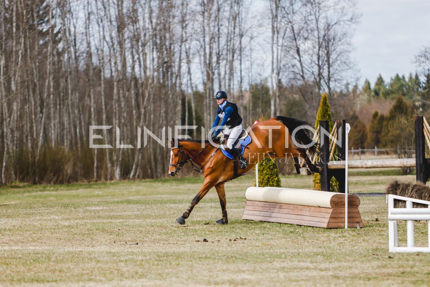 Kose_Kevad_2026_CCN70_XC-1171