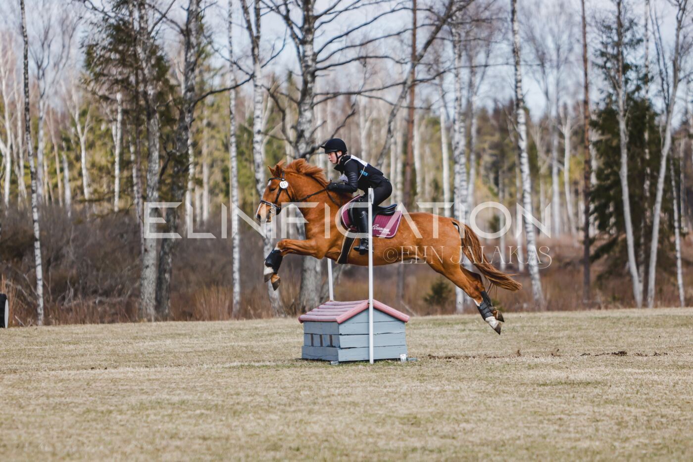 Kose_Kevad_2026_CCN70_XC-1193