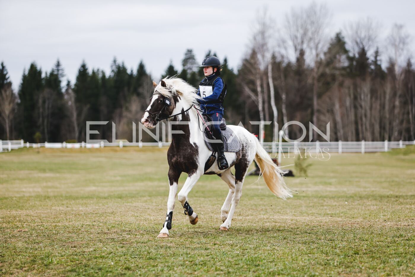 Kose_Kevad_2026_CCN70_XC-156