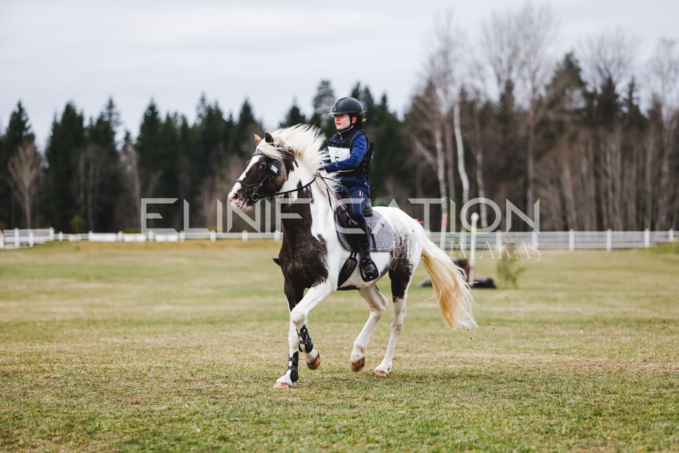 Kose_Kevad_2026_CCN70_XC-157