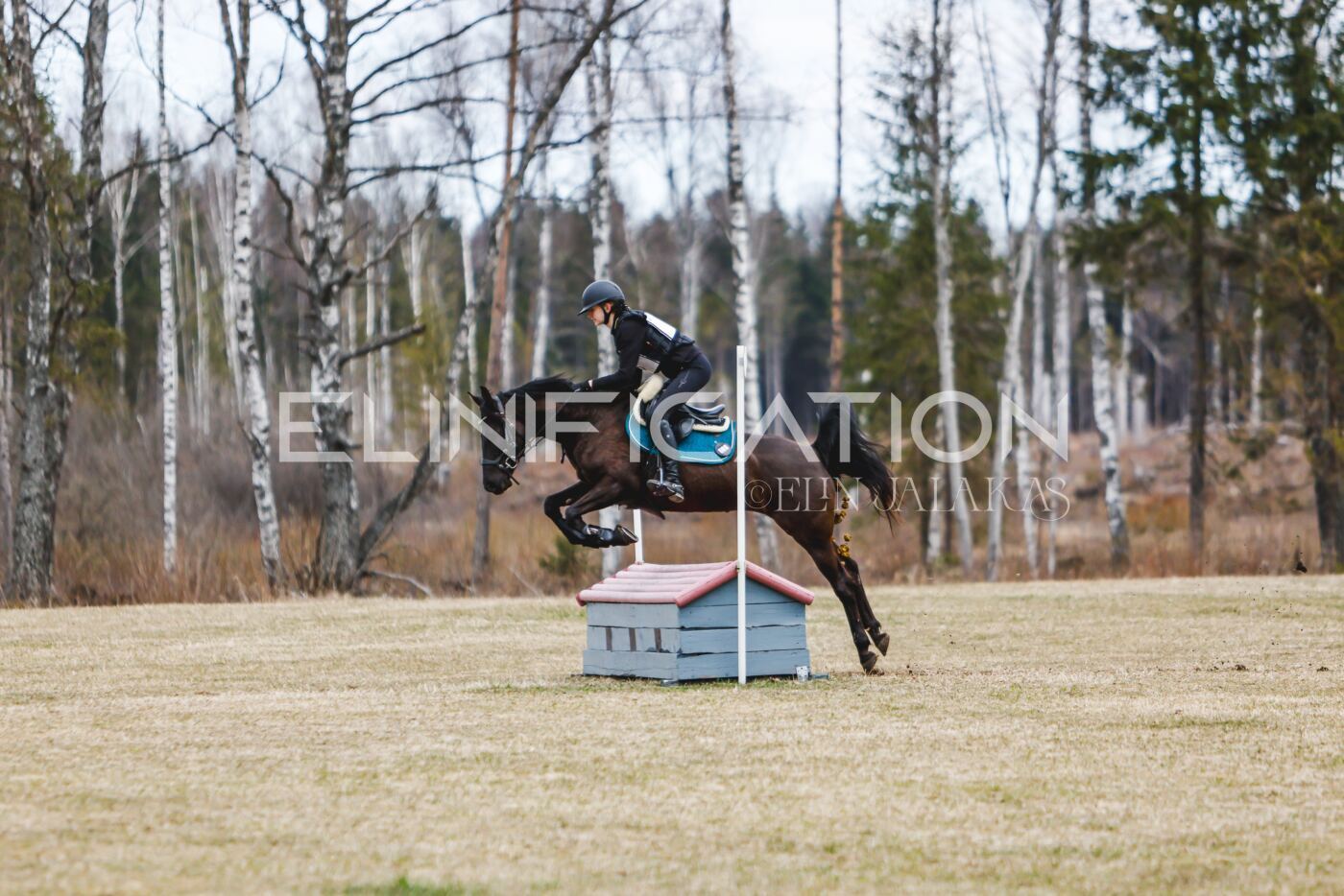 Kose_Kevad_2026_CCN70_XC-176