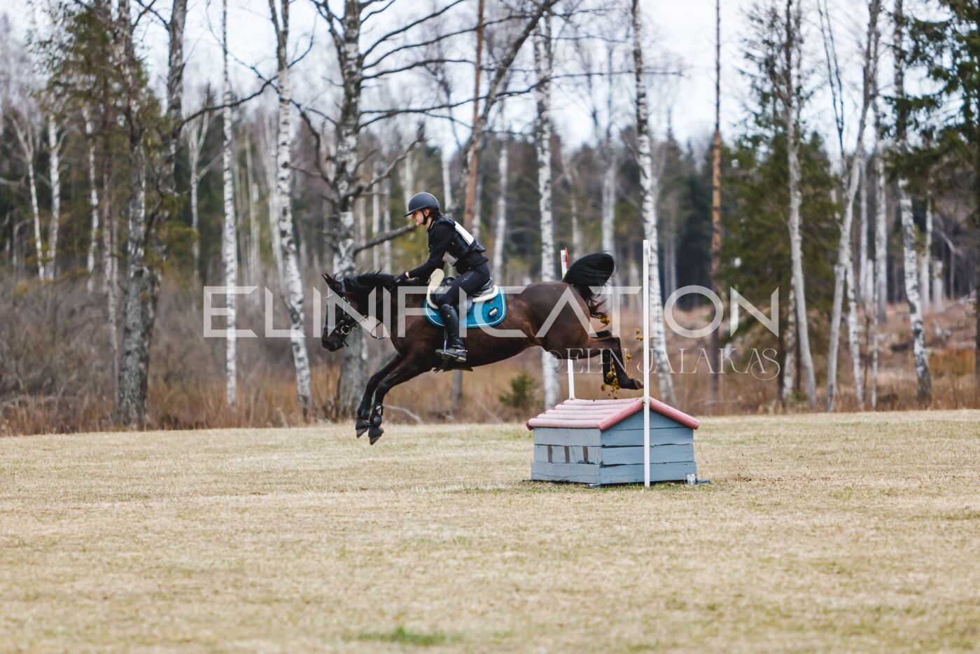 Kose_Kevad_2026_CCN70_XC-179