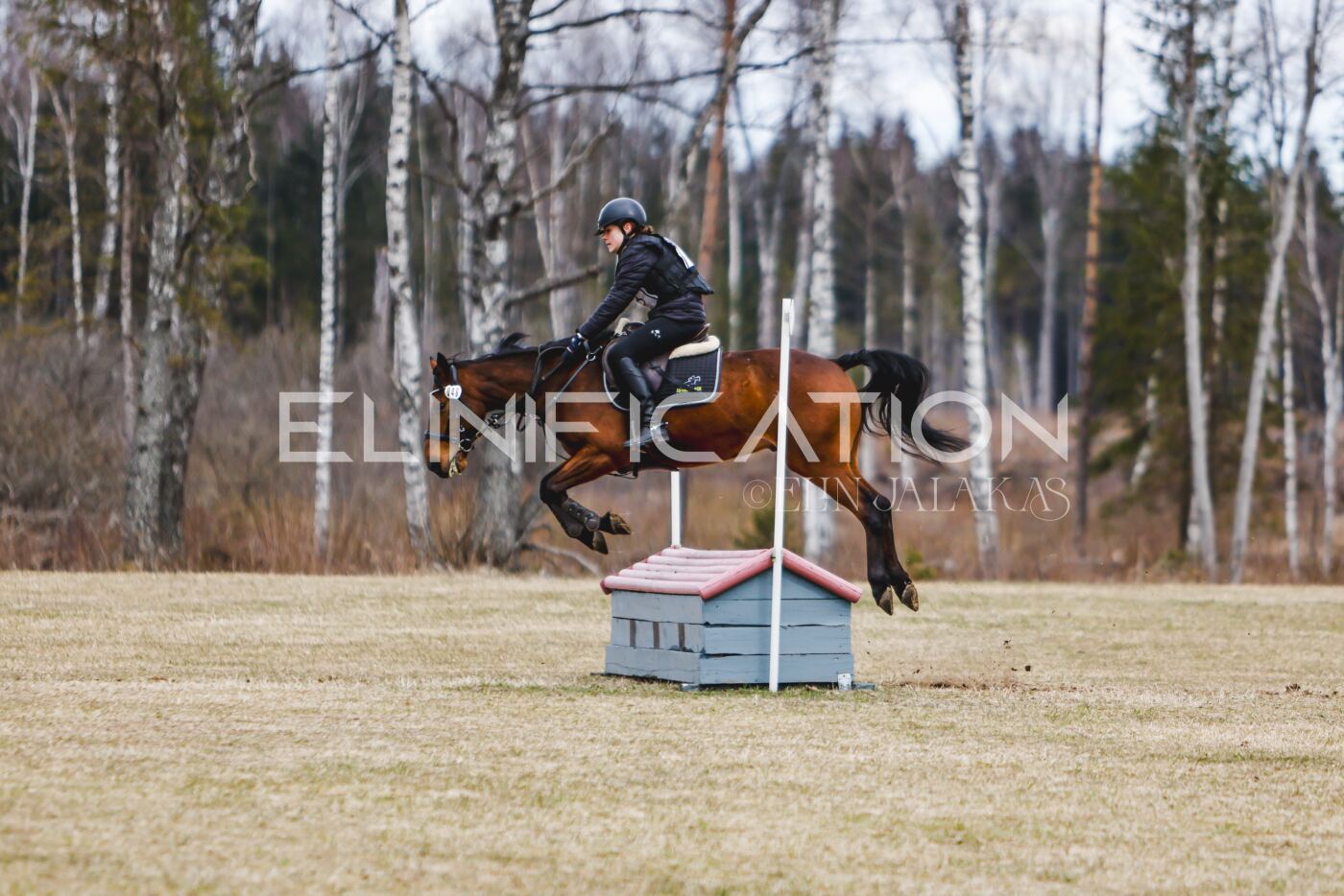 Kose_Kevad_2026_CCN70_XC-329