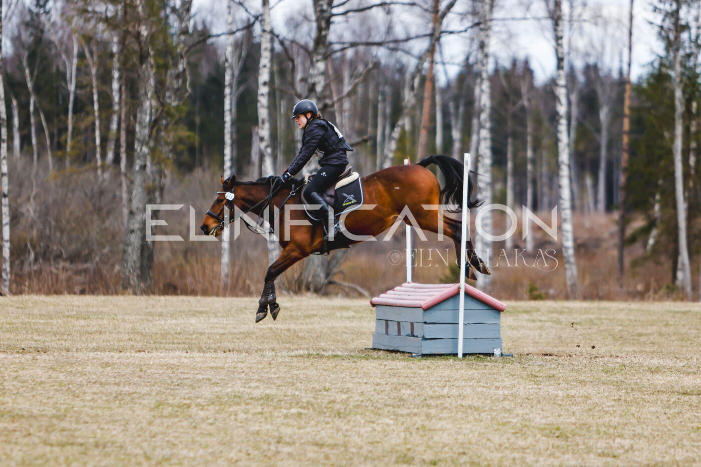 Kose_Kevad_2026_CCN70_XC-331