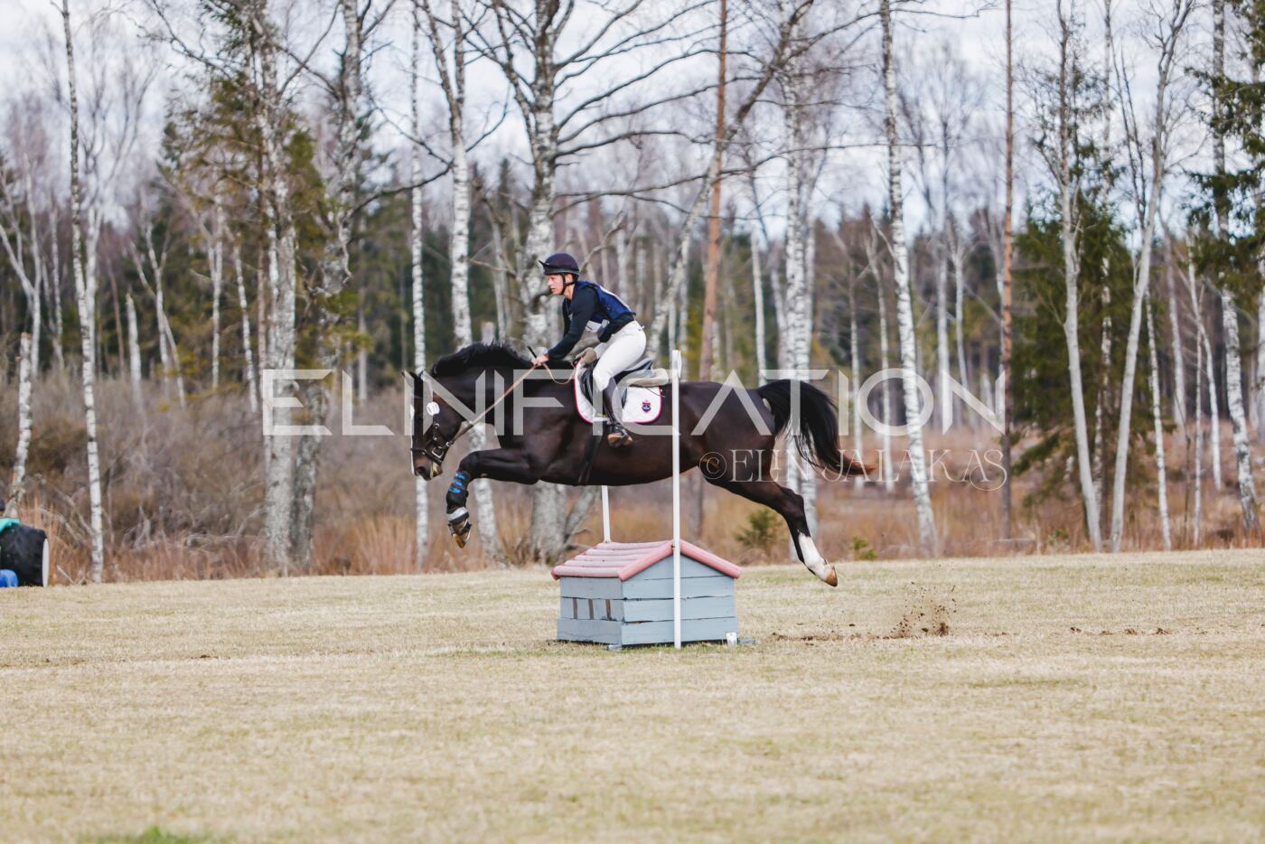 Kose_Kevad_2026_CCN70_XC-758