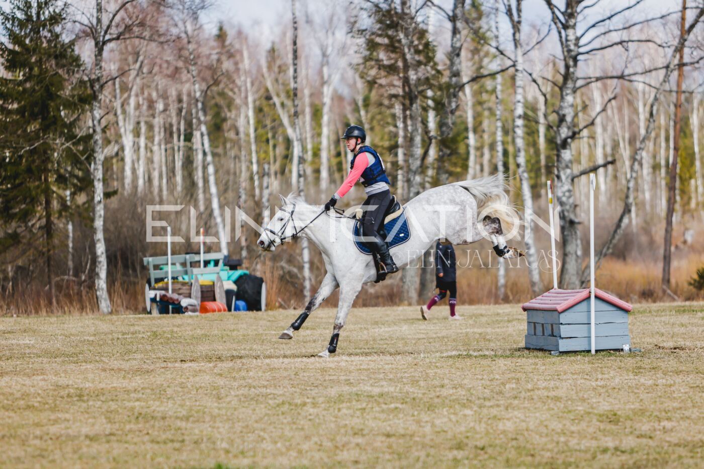 Kose_Kevad_2026_CCN70_XC-800