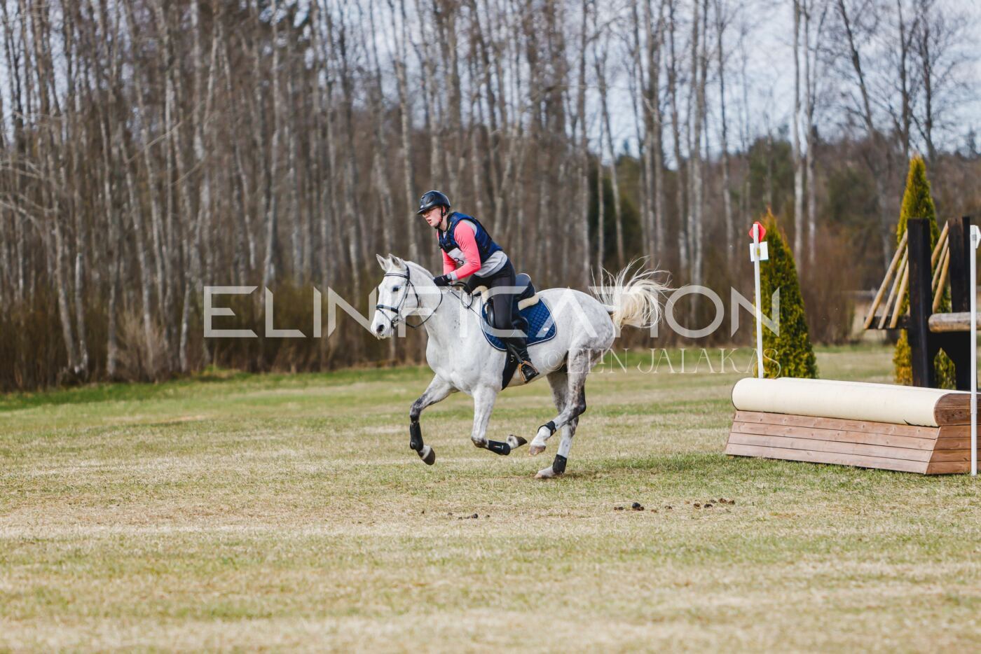Kose_Kevad_2026_CCN70_XC-805