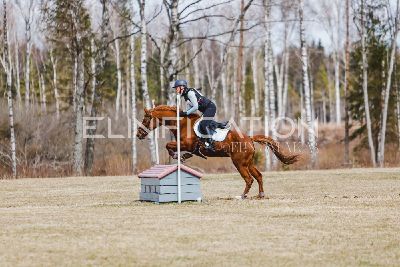 Kose_Kevad_2026_CCN70_XC-919