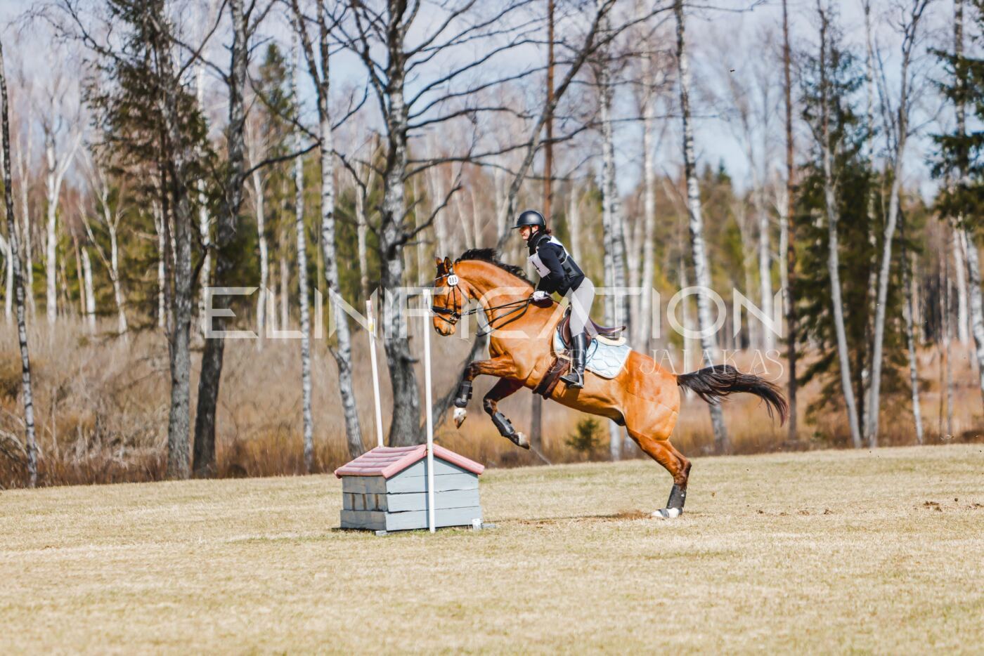 Kose_Kevad_2026_CCN70_XC-984