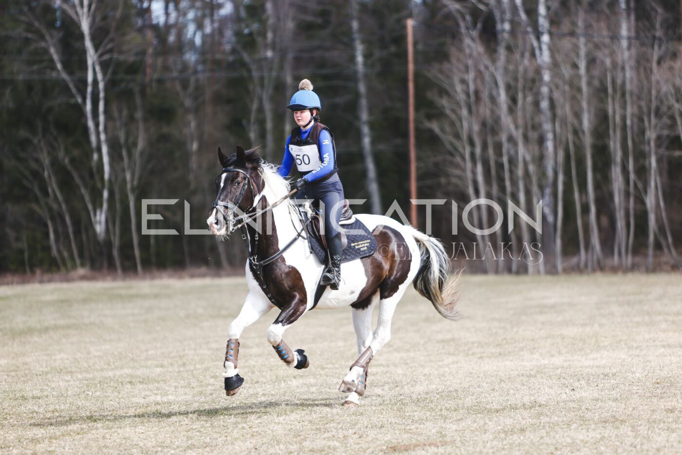 Kose_Kevad_2026_CCN90_XC-155