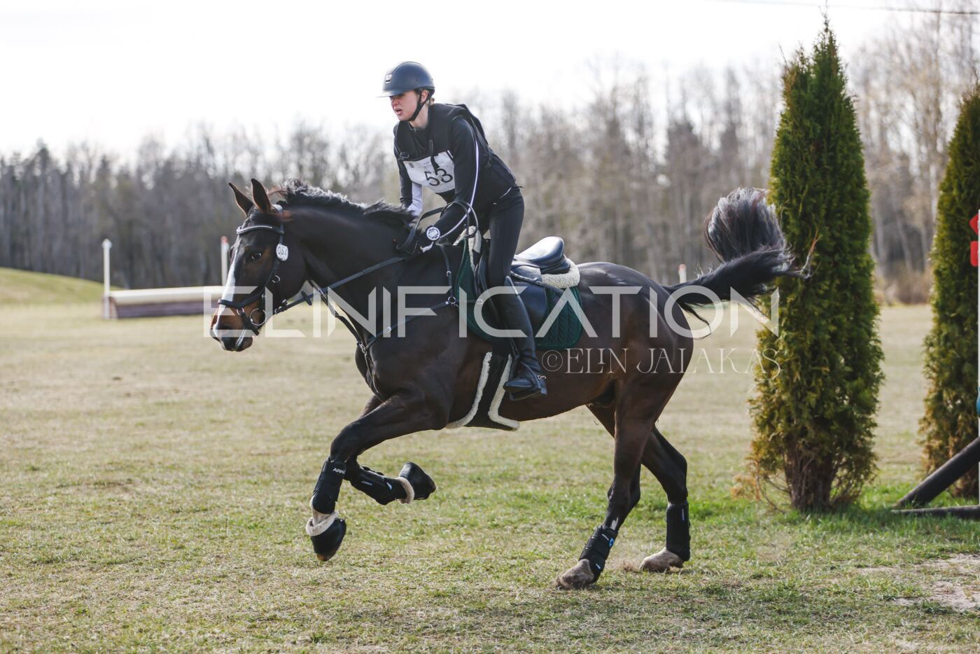 Kose_Kevad_2026_CCN90_XC-221