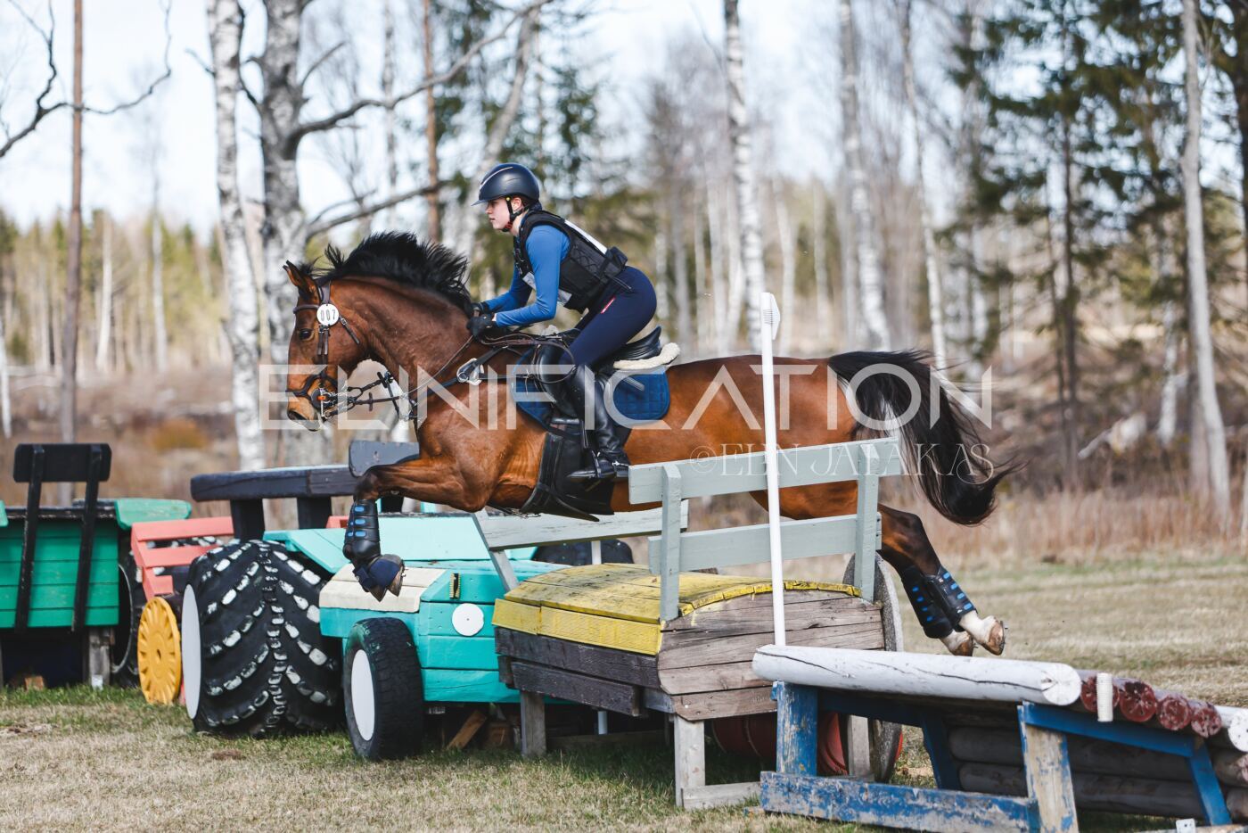 Kose_Kevad_2026_CCN90_XC-279