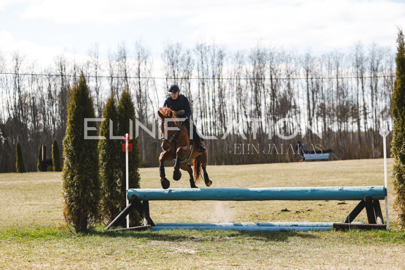 Kose_Kevad_2026_CCN90_XC-313