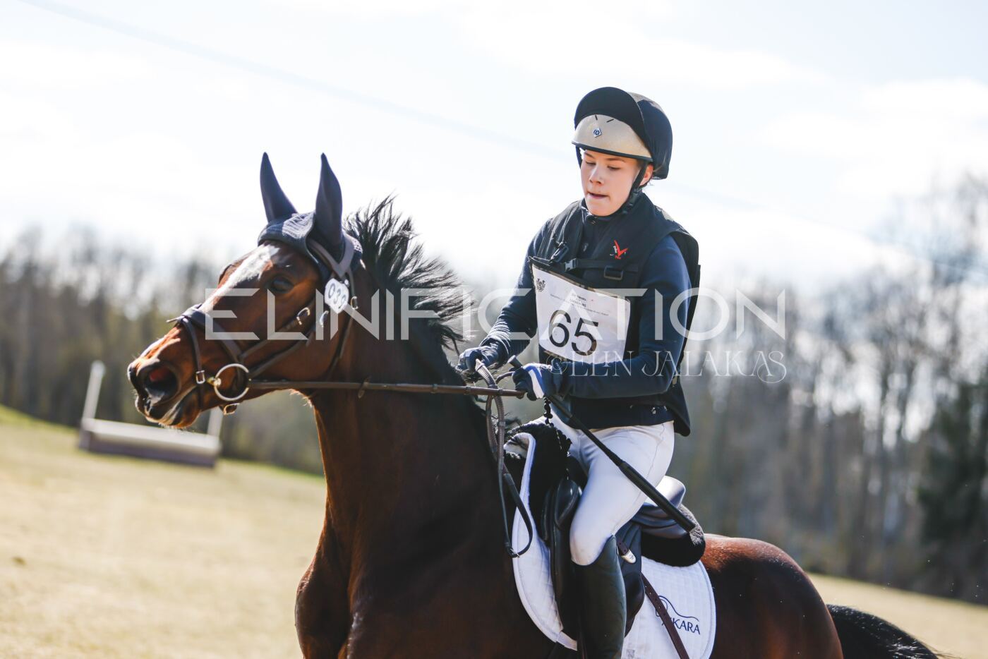 Kose_Kevad_2026_CCN90_XC-493
