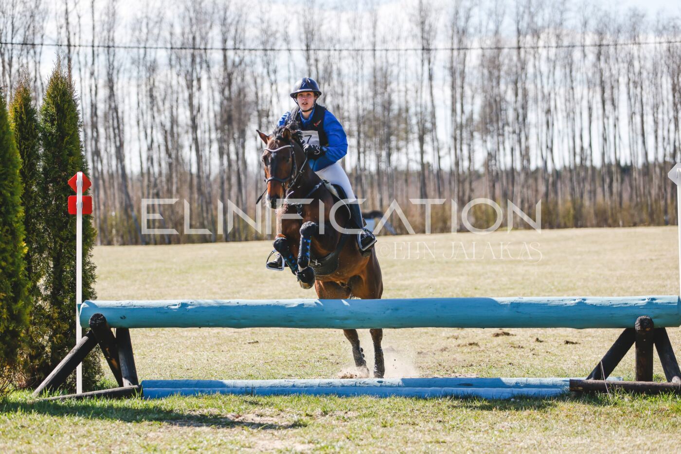 Kose_Kevad_2026_CCN90_XC-531