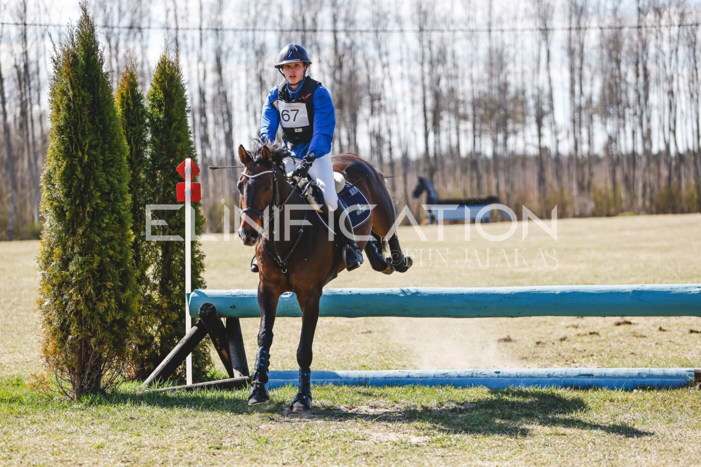 Kose_Kevad_2026_CCN90_XC-538