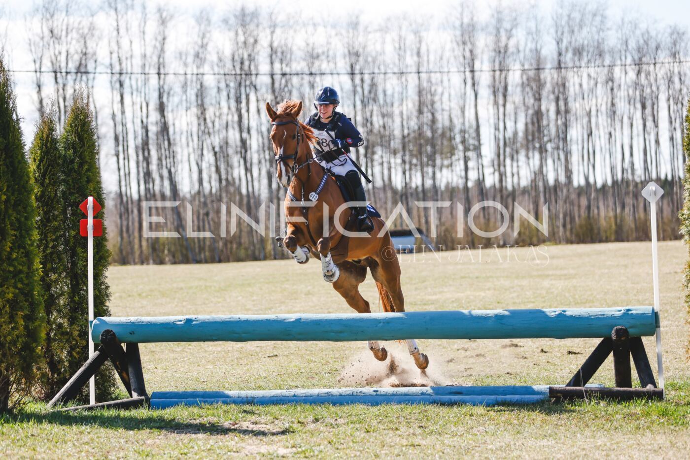 Kose_Kevad_2026_CCN90_XC-552