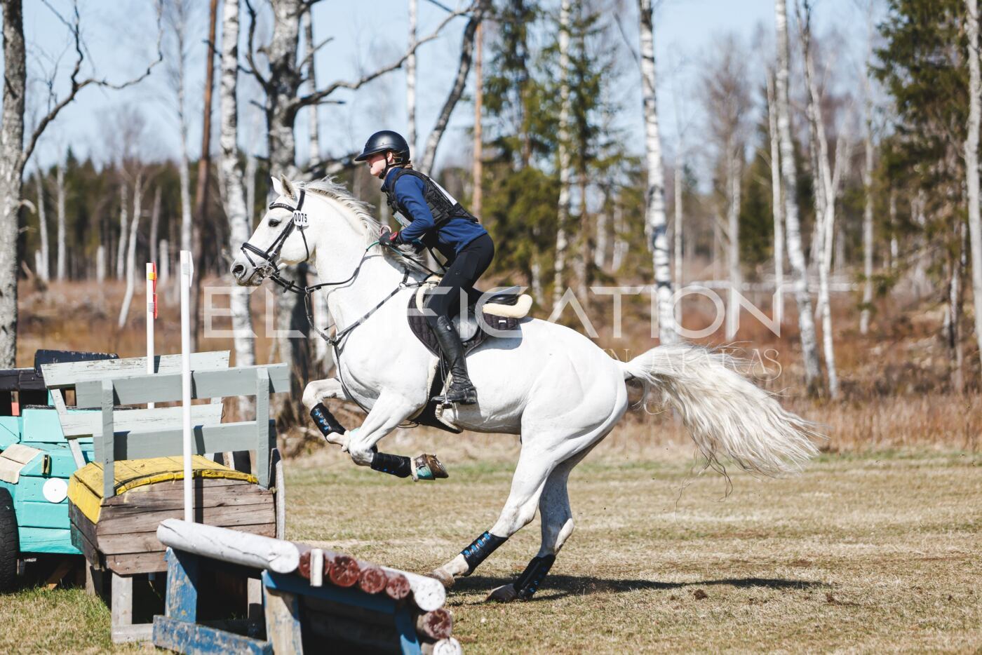 Kose_Kevad_2026_CCN90_XC-586