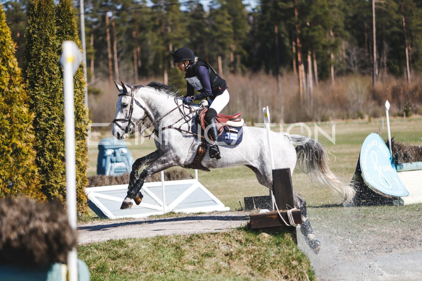 Kose_Kevad_2026_CCN1_XC-071