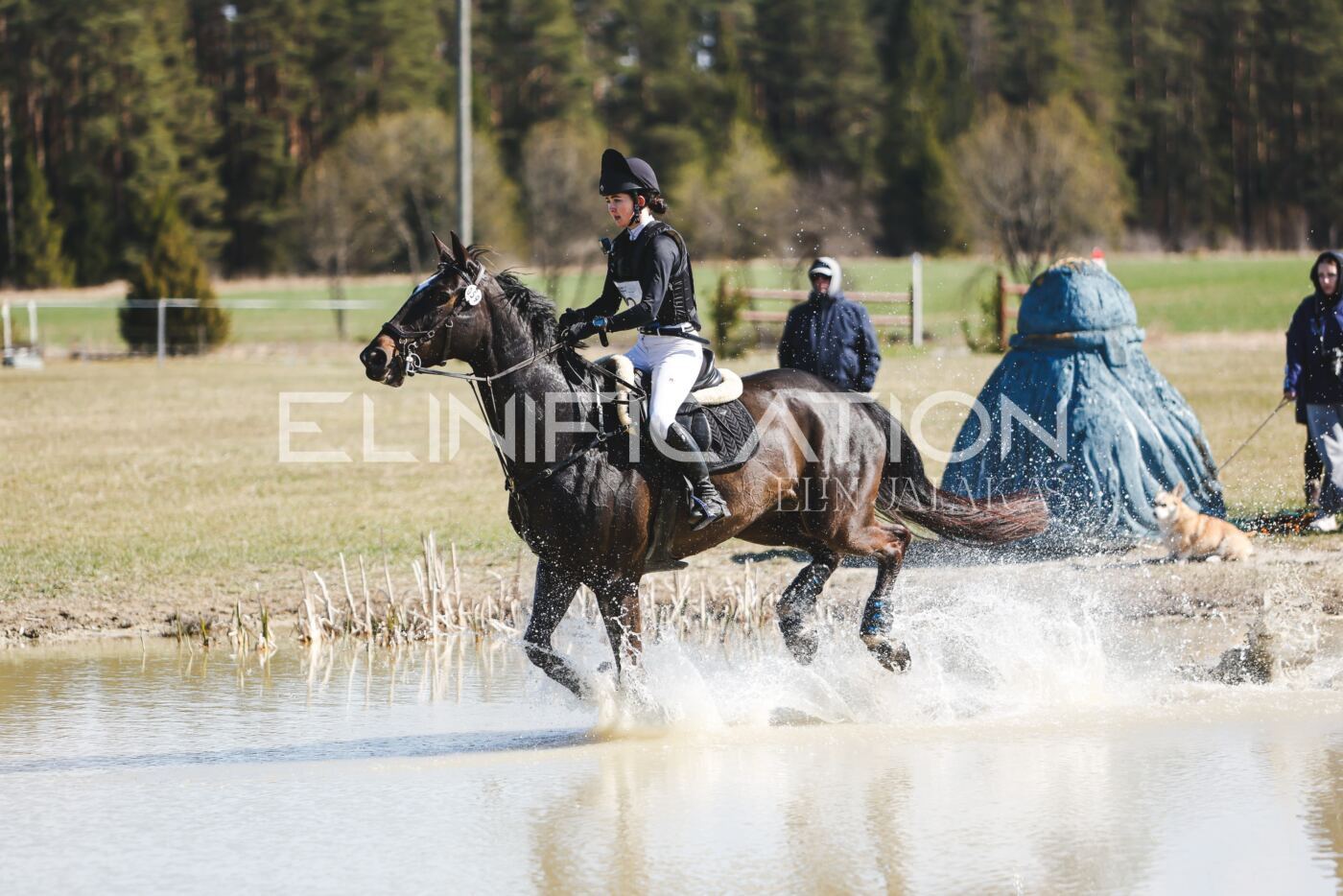Kose_Kevad_2026_CCN1_XC-112