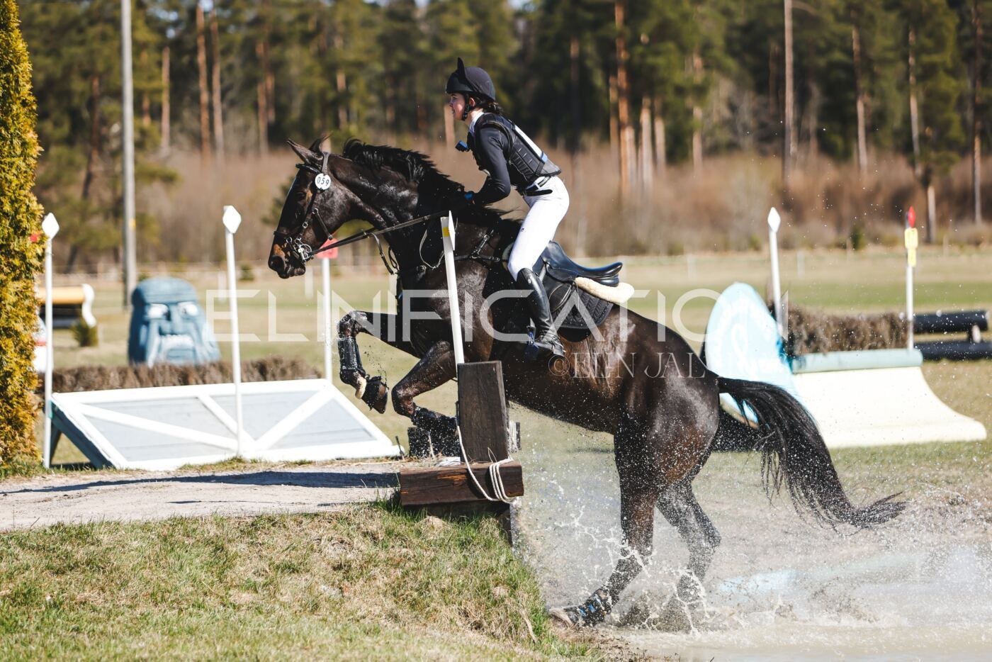 Kose_Kevad_2026_CCN1_XC-131