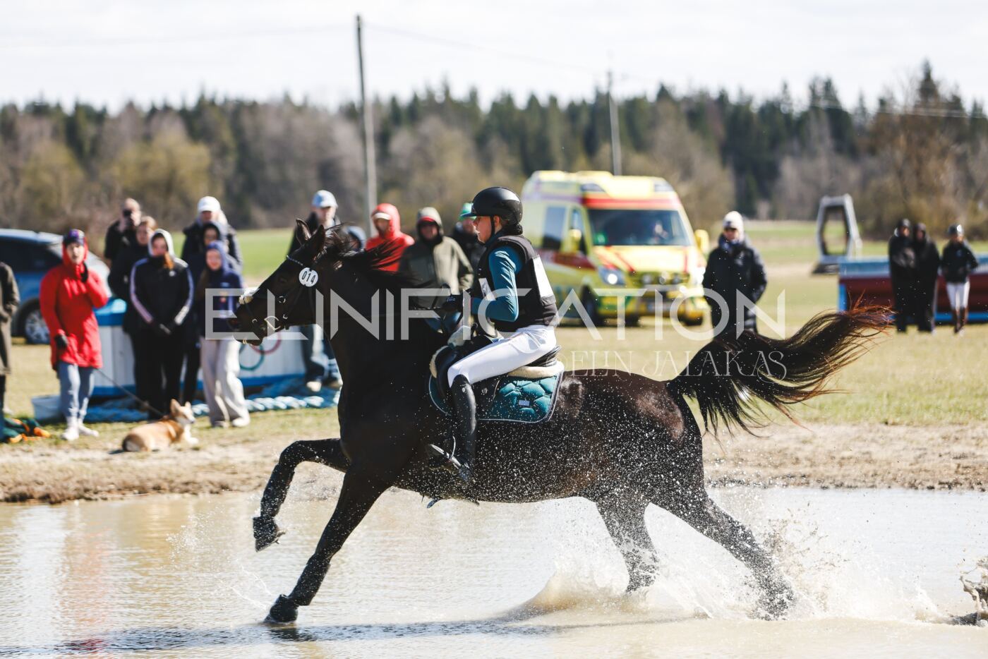 Kose_Kevad_2026_CCN1_XC-298