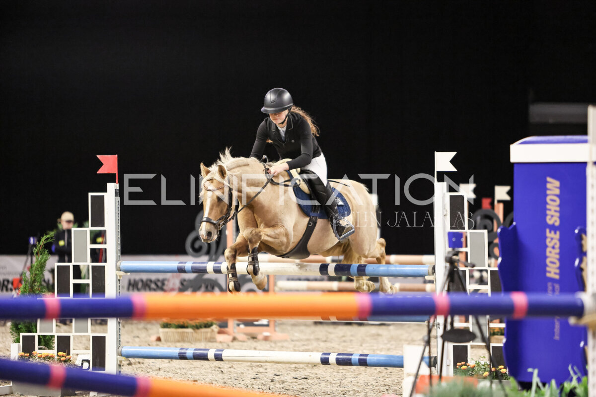 TIHS_2026_Prix-de-Eesti-Ponikarikas_039