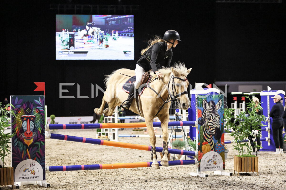 TIHS_2026_Prix-de-Eesti-Ponikarikas_088
