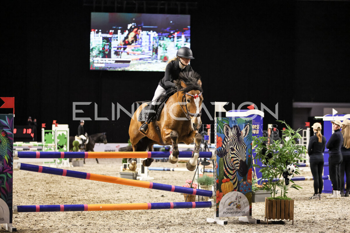 TIHS_2026_Prix-de-Eesti-Ponikarikas_116