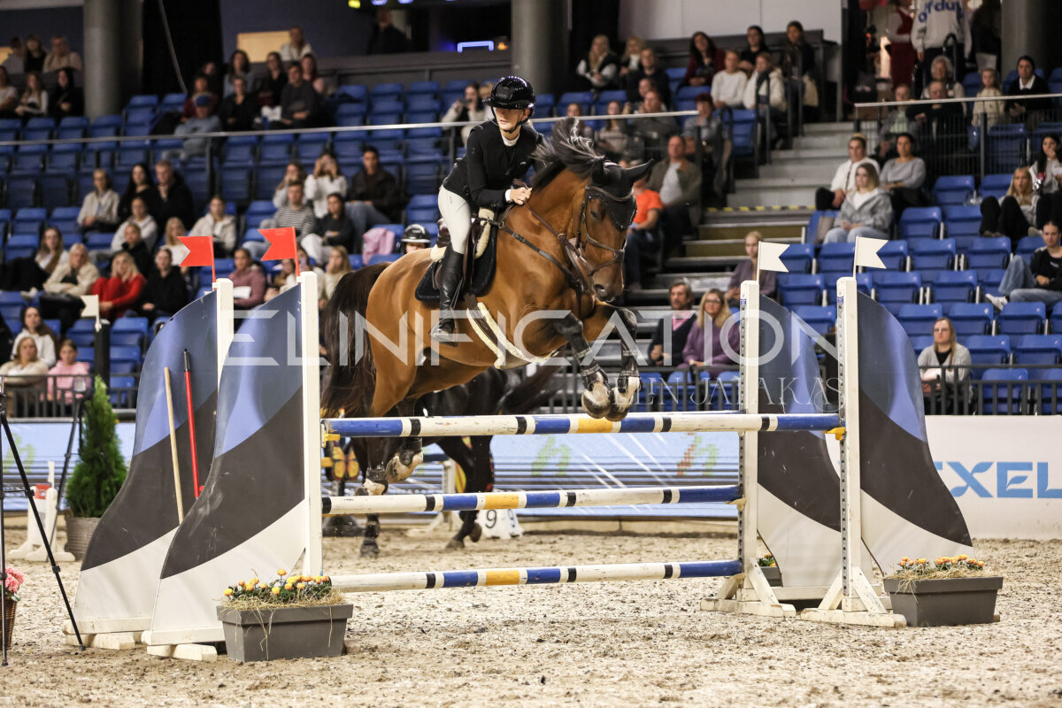 TIHS_2026_Prix-de-Nordic-Hotel-Forum_002