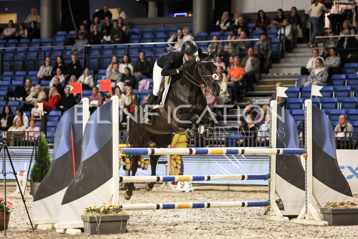 TIHS_2026_Prix-de-Nordic-Hotel-Forum_004