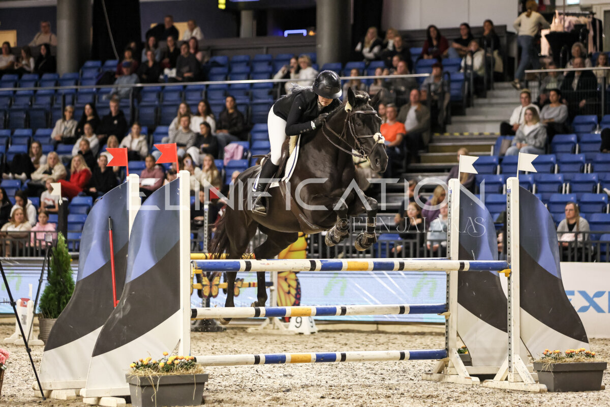 TIHS_2026_Prix-de-Nordic-Hotel-Forum_005
