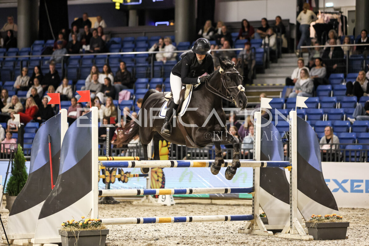 TIHS_2026_Prix-de-Nordic-Hotel-Forum_007