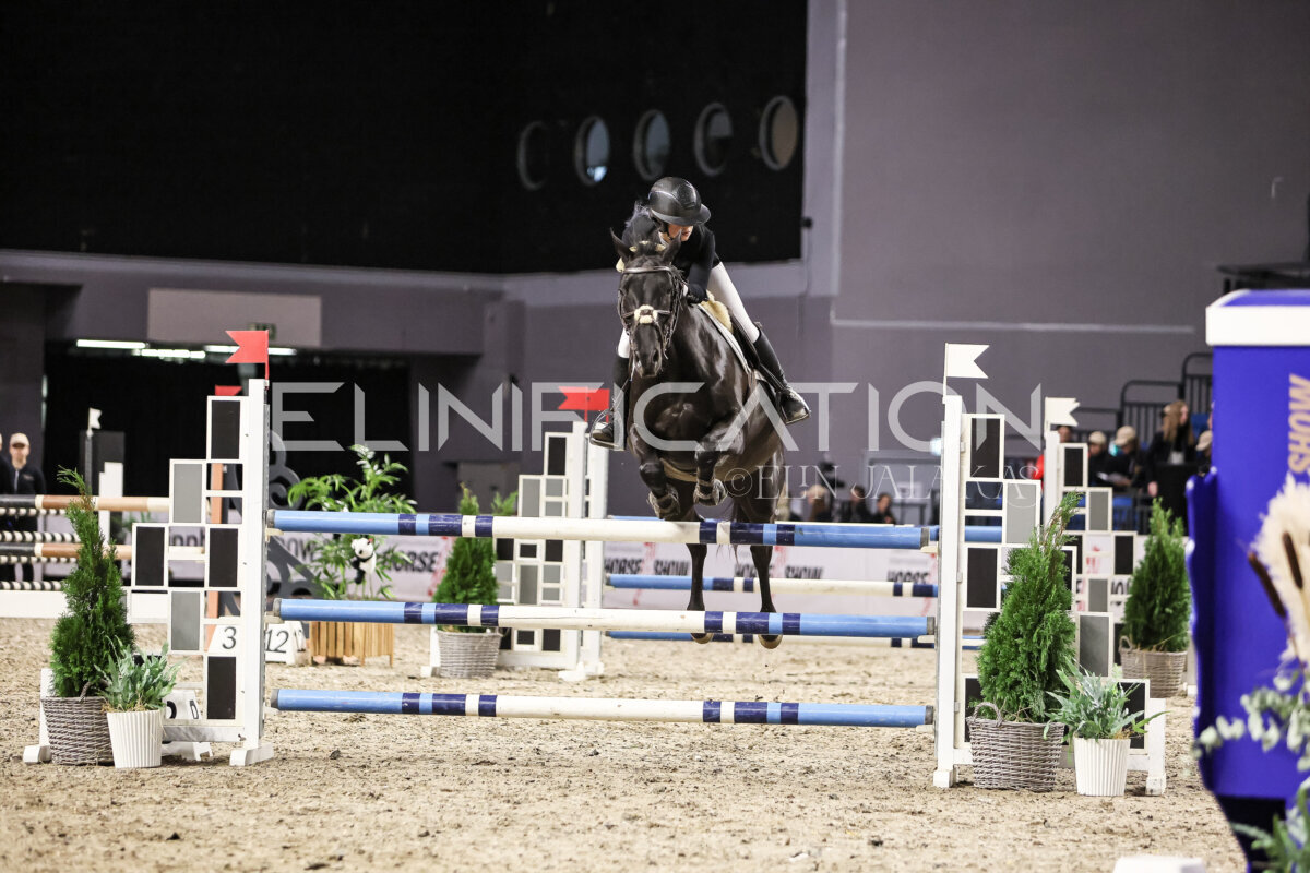 TIHS_2026_Prix-de-Nordic-Hotel-Forum_009