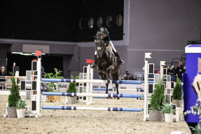 TIHS_2026_Prix-de-Nordic-Hotel-Forum_009