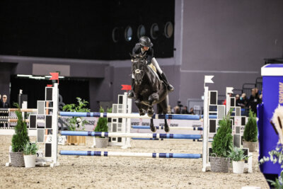 TIHS_2026_Prix-de-Nordic-Hotel-Forum_010