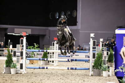 TIHS_2026_Prix-de-Nordic-Hotel-Forum_011
