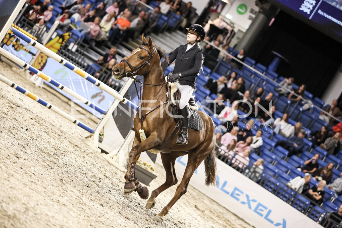 TIHS_2026_Prix-de-Nordic-Hotel-Forum_013