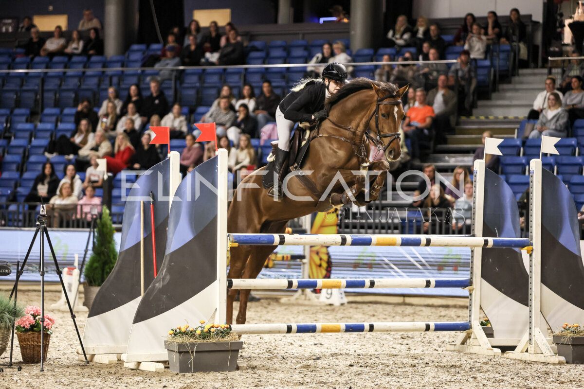 TIHS_2026_Prix-de-Nordic-Hotel-Forum_014