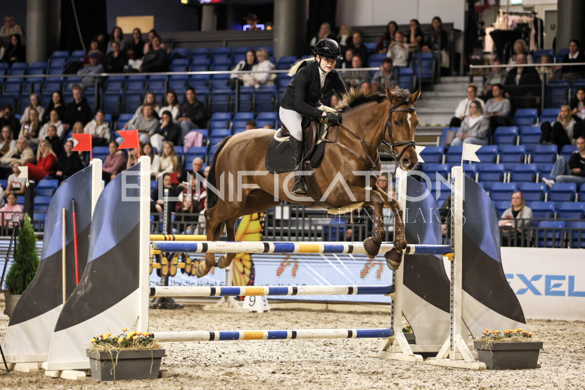 TIHS_2026_Prix-de-Nordic-Hotel-Forum_015