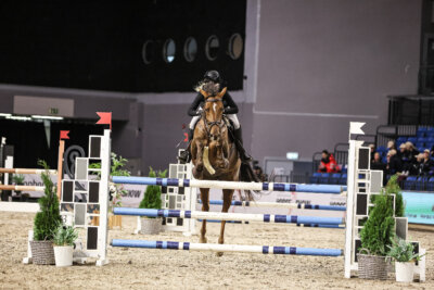 TIHS_2026_Prix-de-Nordic-Hotel-Forum_018
