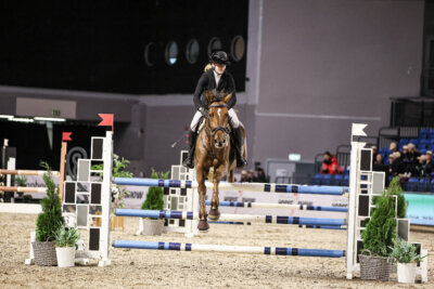 TIHS_2026_Prix-de-Nordic-Hotel-Forum_022