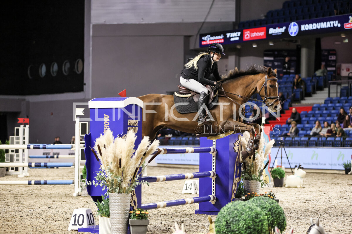 TIHS_2026_Prix-de-Nordic-Hotel-Forum_025
