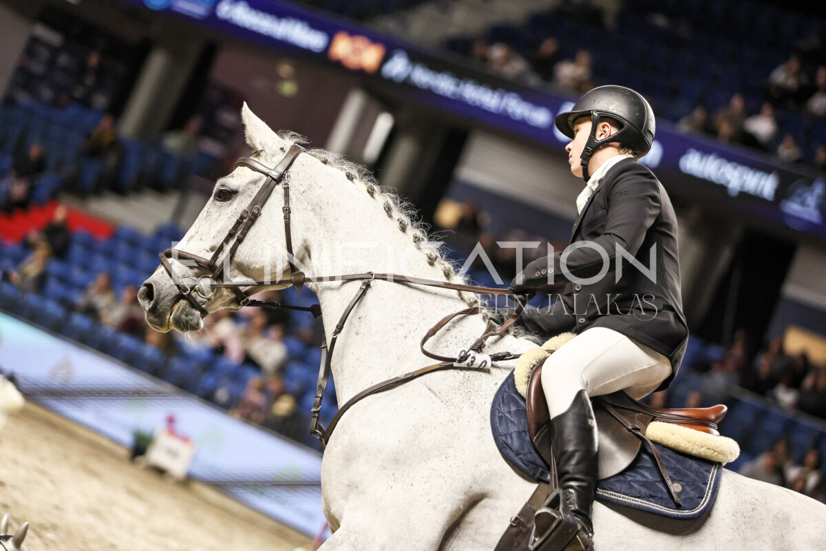 TIHS_2026_Prix-de-Nordic-Hotel-Forum_026