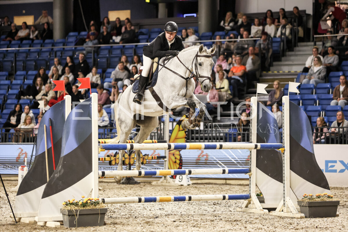 TIHS_2026_Prix-de-Nordic-Hotel-Forum_029
