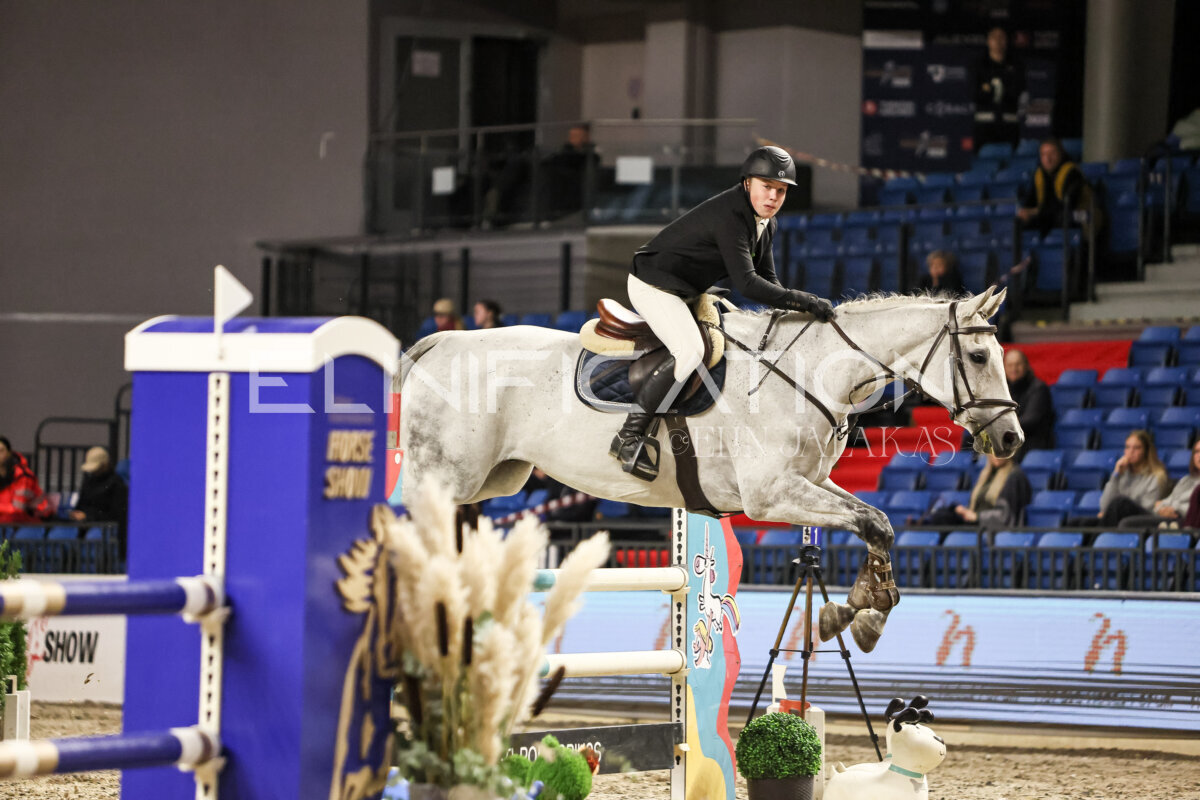 TIHS_2026_Prix-de-Nordic-Hotel-Forum_033