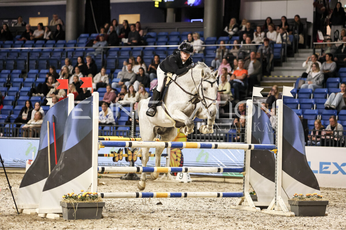 TIHS_2026_Prix-de-Nordic-Hotel-Forum_042