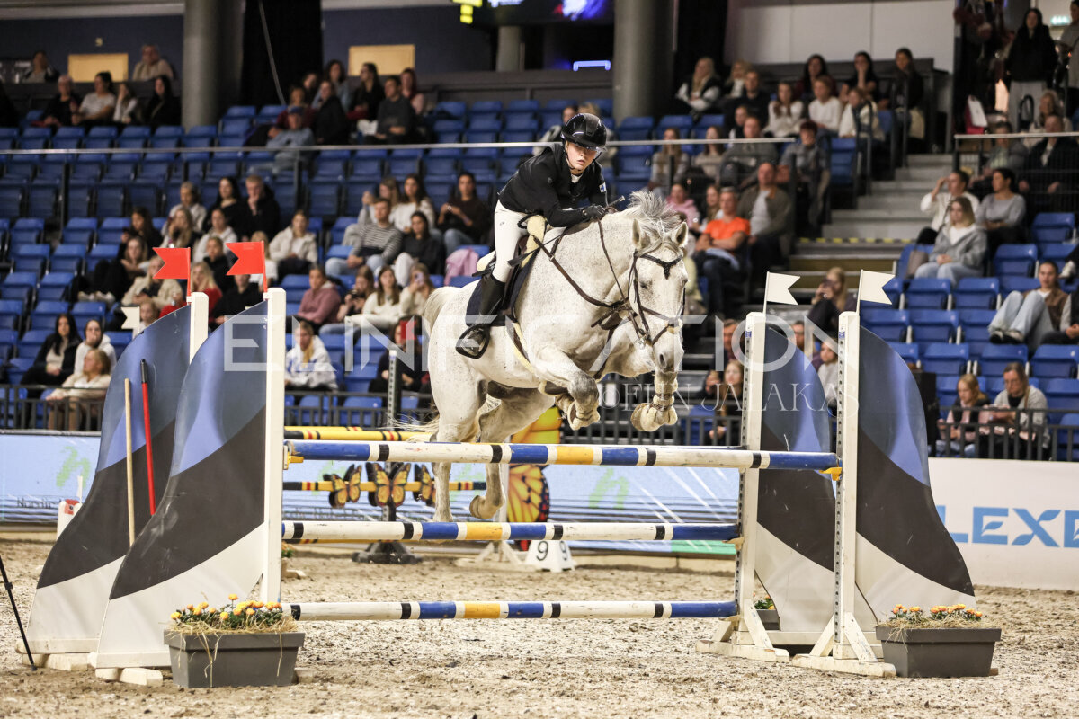 TIHS_2026_Prix-de-Nordic-Hotel-Forum_043