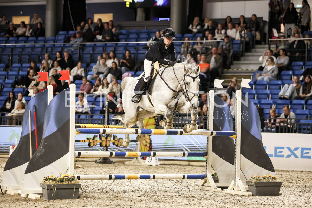 TIHS_2026_Prix-de-Nordic-Hotel-Forum_044