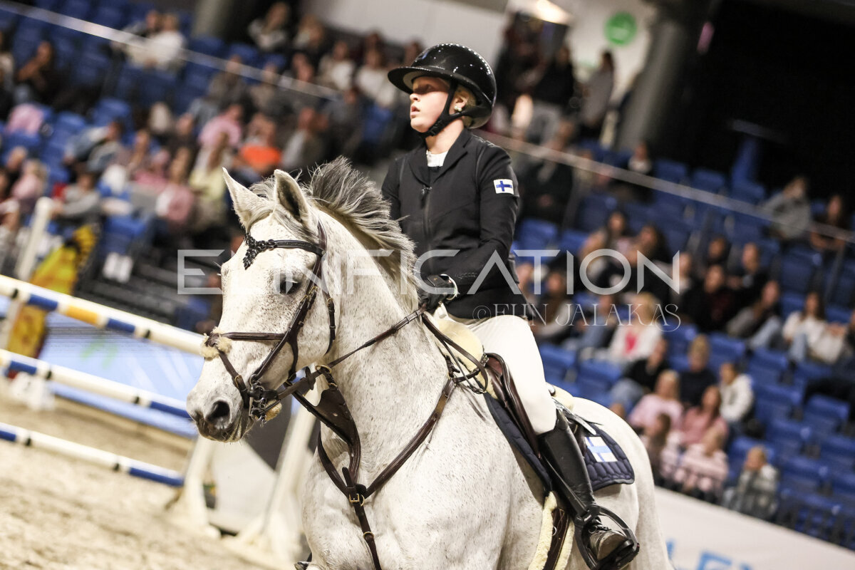 TIHS_2026_Prix-de-Nordic-Hotel-Forum_045